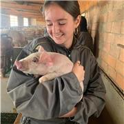 Estudiante de veterinaria ofrece clases de repaso para ESO y primaria
